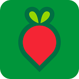 叮咚买菜app下载安装软件下载