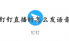 钉钉直播时怎么发语音