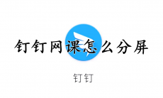 钉钉网课怎么分屏