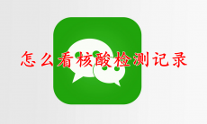 微信怎么看核酸检测记录