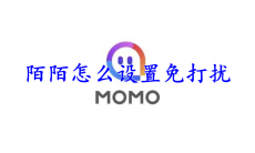 陌陌怎么设置免打扰