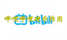 哔哩哔哩硬币作用