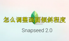 snapseed怎么调整画面倾斜程度