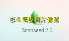 Snapseed怎么调整图片像素