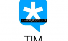 tim在线状态怎么改