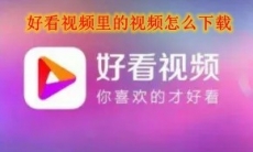 好看视频里的视频怎么下载