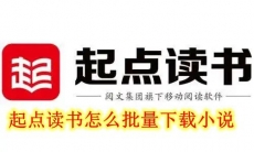 起点读书怎么批量下载小说