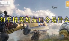 和平精英好友口令是什么