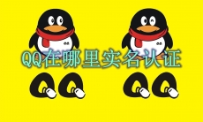 QQ在哪里实名认证