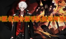 非匿名指令新手队伍如何搭配