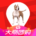 大商团购软件下载