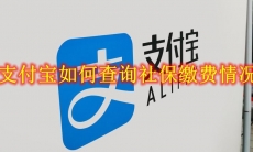 支付宝如何查询社保缴费情况