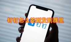 钉钉怎么签到发到群里