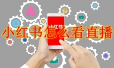 小红书怎么看直播
