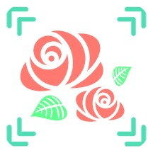 全能拍照识图软件下载