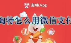 淘特怎么用微信支付