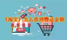 《淘宝》怎么查消费总金额