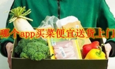 哪个app买菜便宜送货上门