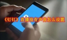 《钉钉》直播没有声音怎么设置