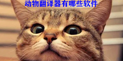动物翻译器有哪些软件