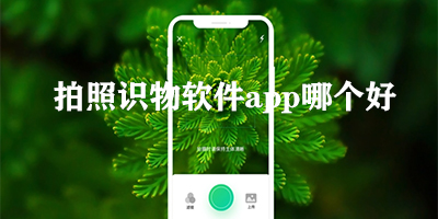 拍照识物软件app哪个好