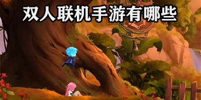 双人联机手游有哪些