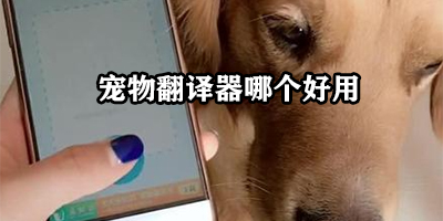 宠物翻译器哪个好用
