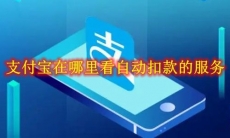 支付宝在哪里看自动扣款的服务