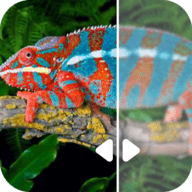 图片修复吧软件下载