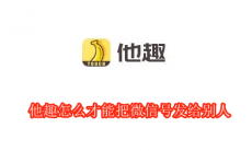 他趣怎么才能把微信号发给别人