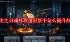 自由之刃魂环攻速版新手怎么提升战力