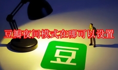 豆瓣夜间模式在哪可以设置