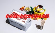 多多钱包免密支付怎么关闭