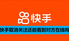 快手取消关注还能看到对方在线吗怎么设置