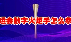 亚运会数字火炬手怎么参与
