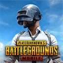 pubg亚服最新版手游下载