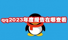 qq2023年度报告在哪查看