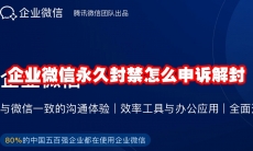 企业微信永久封禁怎么申诉解封