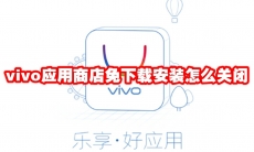 vivo应用商店免下载安装怎么关闭