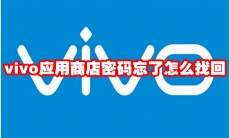 vivo应用商店密码忘了怎么找回