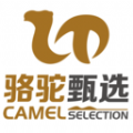 骆驼甄选软件下载