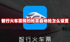 智行火车票预约抢票自动抢怎么设置