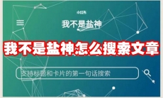 我不是盐神怎么搜索文章