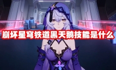 崩坏星穹铁道黑天鹅技能是什么