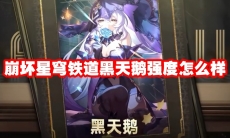 崩坏星穹铁道黑天鹅强度怎么样