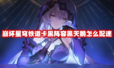 崩坏星穹铁道卡黑阵容黑天鹅怎么配速