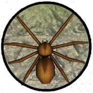 模拟蜘蛛手游下载