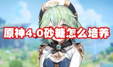 原神4.0砂糖怎么培养