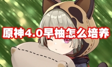 原神4.0早柚怎么培养