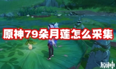 原神79朵月莲怎么采集